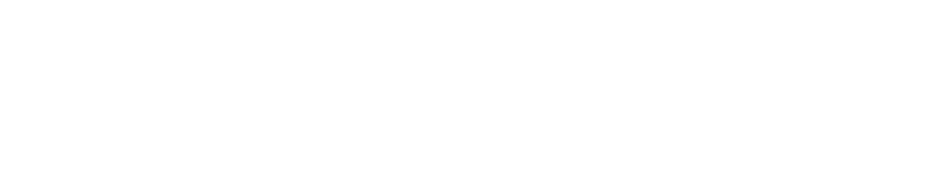 דץ ועמיחי